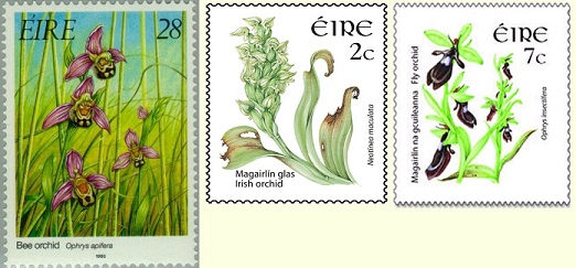 Orchid stamps from Ireland.