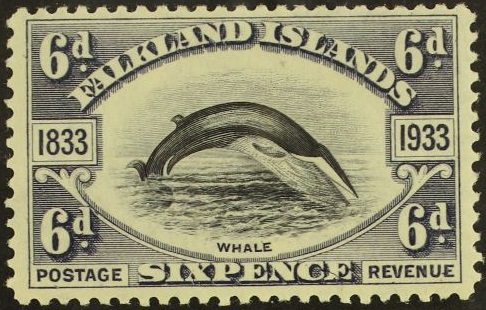 Falklands Island 1933 6d black and slate stamp depicting a Fin Whale.