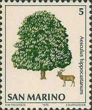 Horse Chestnut tree on a stamp from San Marino.