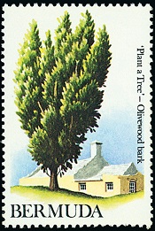 Olive tree on a stamp from Bermuda.